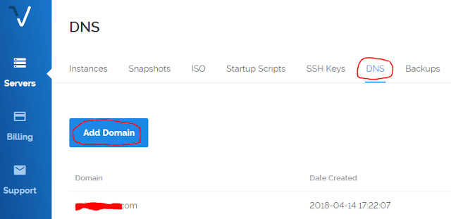 vultr dns setting