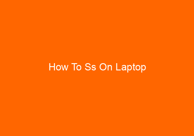 How To Ss On Laptop