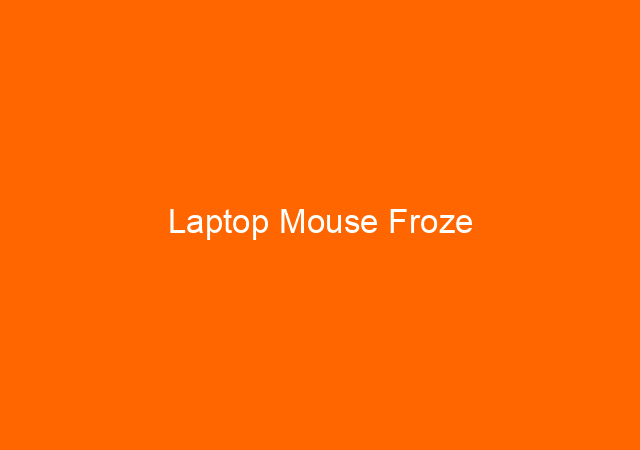 Laptop Mouse Froze