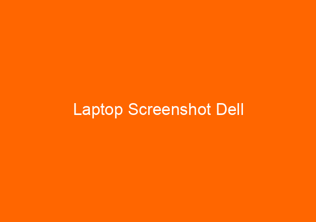Laptop Screenshot Dell
