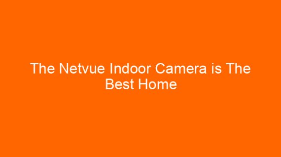 The Netvue Indoor Camera is The Best Home Surveillance Camera For Pets And Children