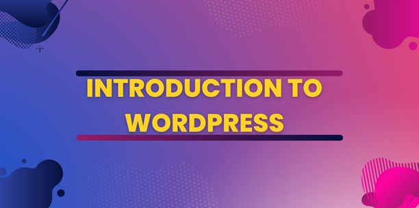 Introduction to WordPress: Why Is It Popular For Blogging?